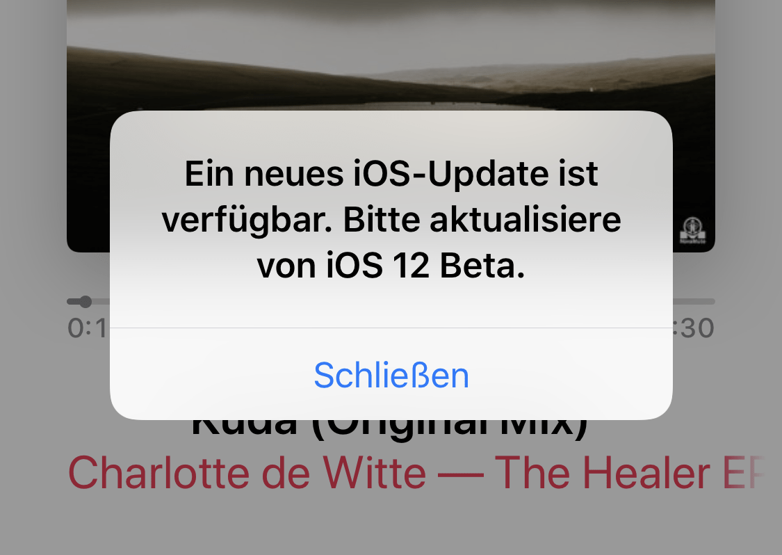 iOS 12 Beta Update Popup